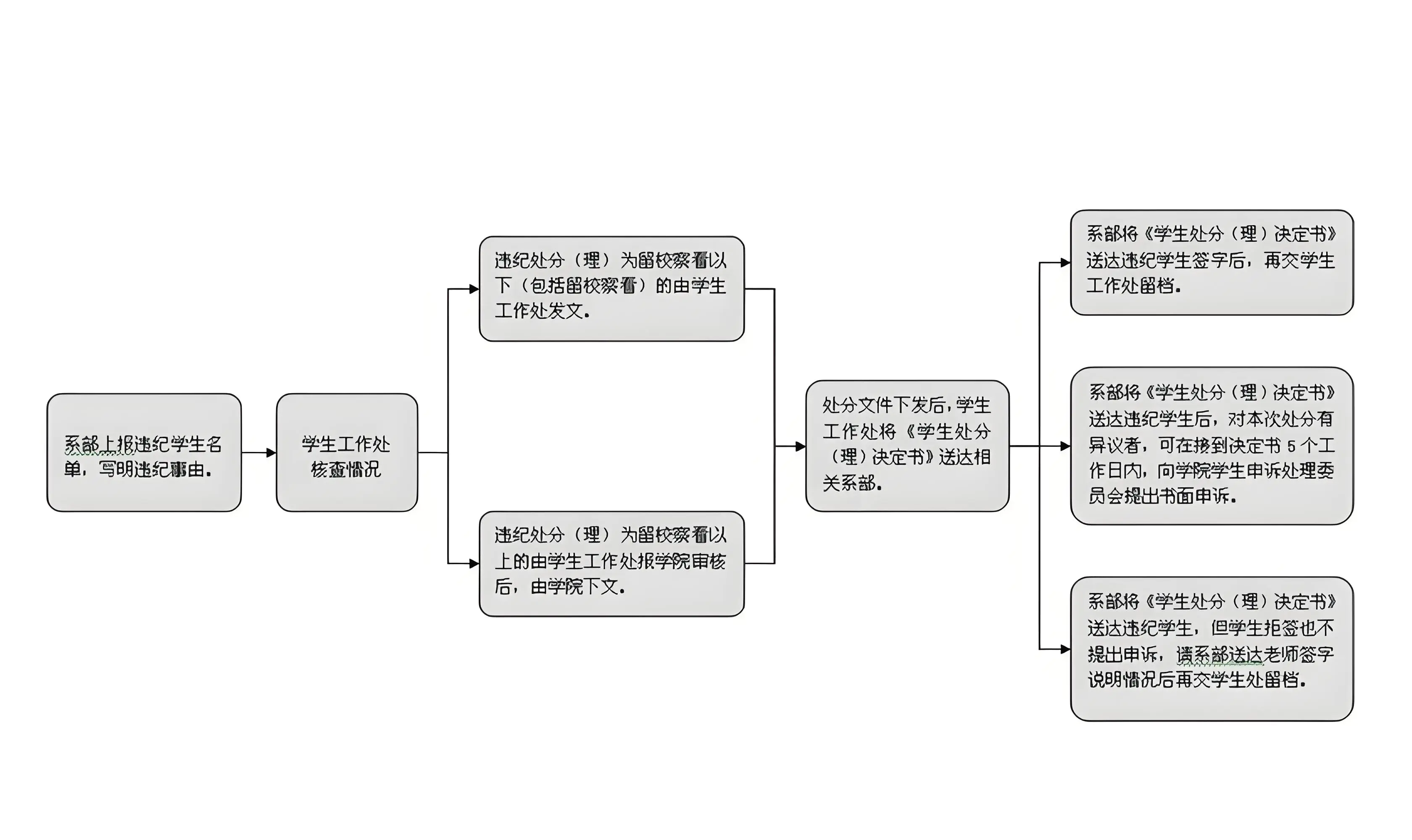 学生处分信息.webp