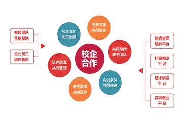 实习管理系统-最专业的实习管理平台