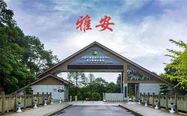 雅安数字迎新系统应用案例：山区学校远程报到实践