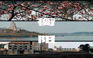 衡阳教育现代化新突破：智慧校园平台建设经验分享