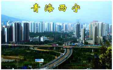 高校科研管理系统助力青藏高原创新生态构建——西宁区域实践观察
