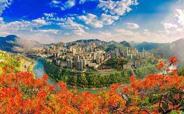 攀枝花智慧校园管理系统：阳光花城的教育数字化新实践